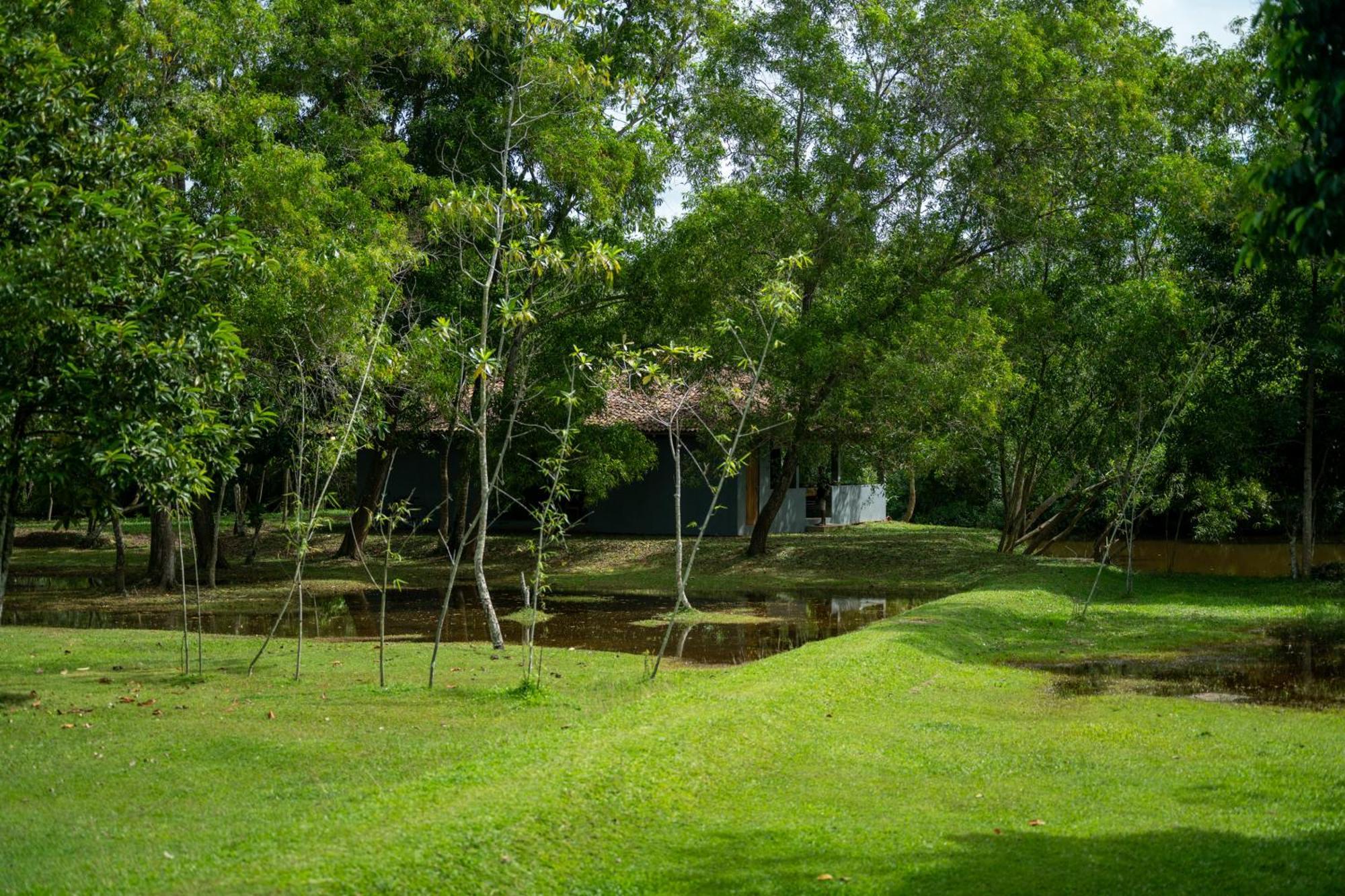 Wirdana Resort & Spa Bussa Esterno foto