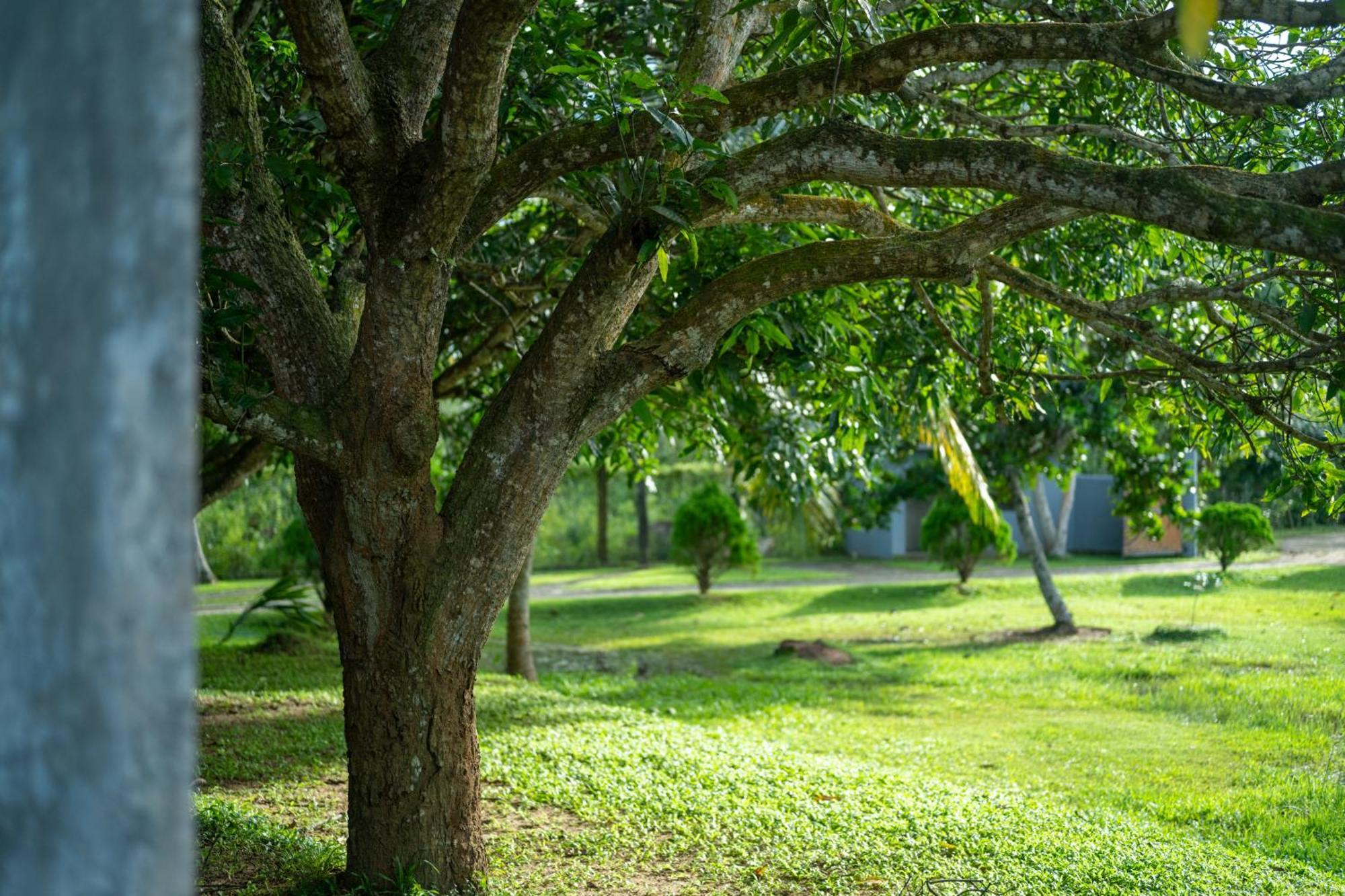 Wirdana Resort & Spa Bussa Esterno foto